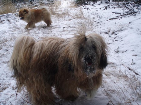 Vycházka ve Sloupnici 15.1.2012