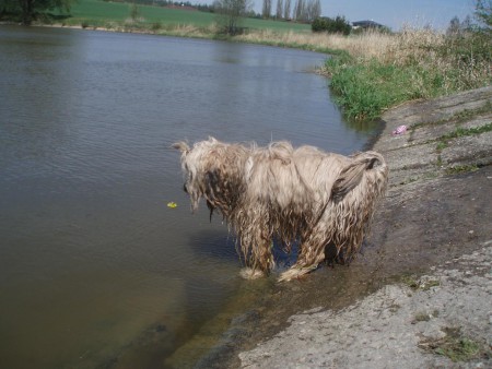 Výlet na Mexiko 29.4.2012