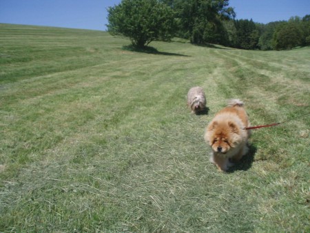 Procházka ve Sloupnici 19.5.2012