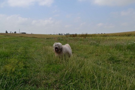 vycházka ve Sloupnici 7.8.2012