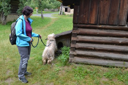 dovolená Beskydy 2012