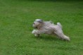 /album/fotogalerie-2012/dsc-0956-1-jpg/
